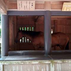 投稿日:2020年8月11日 写真