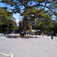 投稿日:2022年4月6日 写真