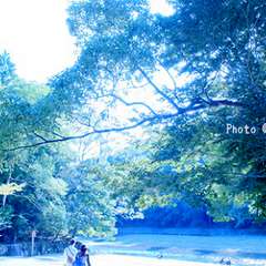 投稿日:2015年10月3日 写真