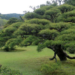 投稿日:2023年3月9日 写真