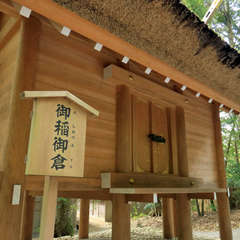 投稿日:2023年3月9日 写真