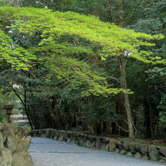 投稿日:2023年3月9日 写真