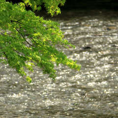 投稿日:2023年3月9日 写真