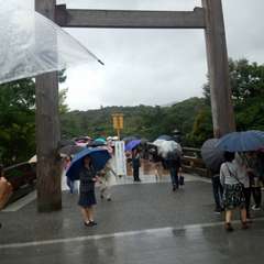 投稿日:2016年5月7日 写真