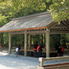 投稿日:2023年3月9日 写真