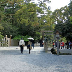 投稿日:2023年3月9日 写真