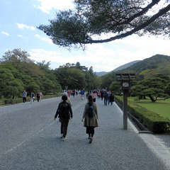 投稿日:2023年3月9日 写真