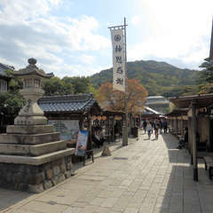 投稿日:2023年3月9日 写真