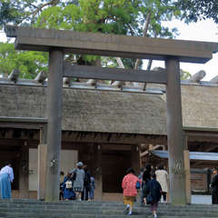 投稿日:2023年3月9日 写真