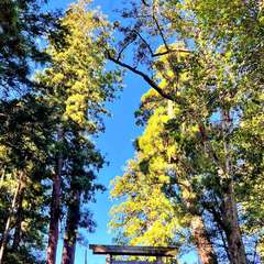 投稿日:2022年10月27日 写真