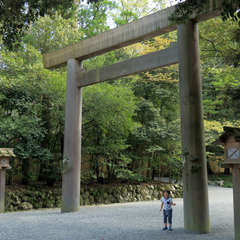 投稿日:2023年3月9日 写真