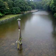 投稿日:2016年5月7日 写真