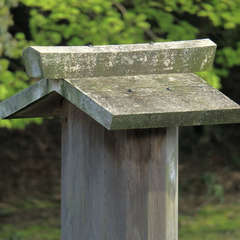 投稿日:2023年3月9日 写真