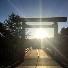 投稿日:2022年5月15日 写真