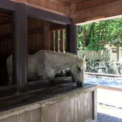 投稿日:2018年4月3日 写真