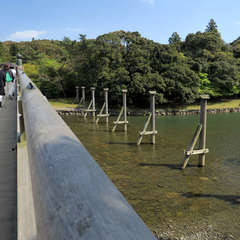 投稿日:2023年3月9日 写真