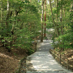 投稿日:2023年3月9日 写真