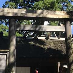 投稿日:2019年10月7日 写真