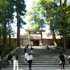 投稿日:2018年6月4日 写真