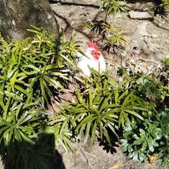 投稿日:2022年4月8日 写真