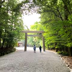 投稿日:2017年9月19日 写真