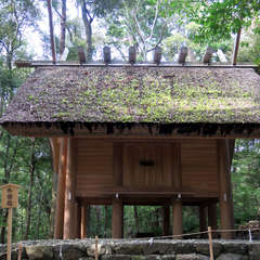 投稿日:2023年3月9日 写真