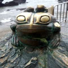 投稿日:2016年5月7日 写真