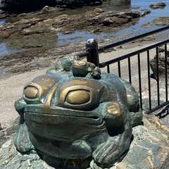 投稿日:2023年7月17日 写真