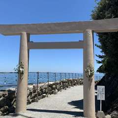 投稿日:2023年7月17日 写真