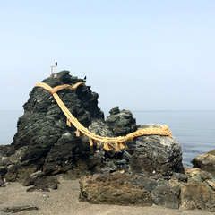 投稿日:2018年4月2日 写真