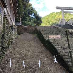 投稿日:2024年5月23日 写真