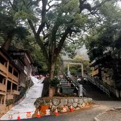 投稿日:2025年7月19日 写真