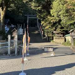 投稿日:2024年11月26日 写真