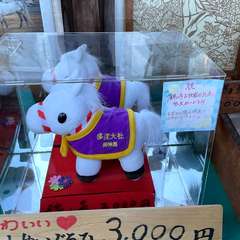 投稿日:2024年11月26日 写真