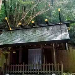 投稿日:2025年7月19日 写真