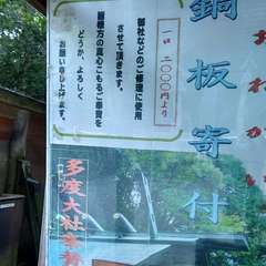 投稿日:2024年11月24日 写真