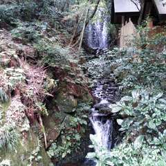 投稿日:2015年12月3日 写真