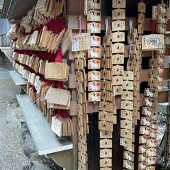 投稿日:2024年11月26日 写真