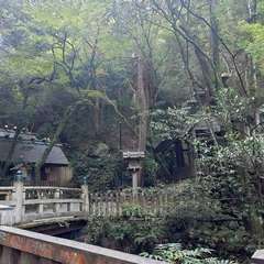 投稿日:2024年11月24日 写真