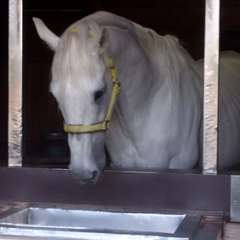 投稿日:2017年6月17日 写真