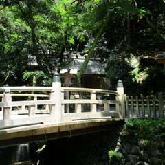 投稿日:2019年4月15日 写真