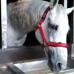 投稿日:2015年12月3日 写真