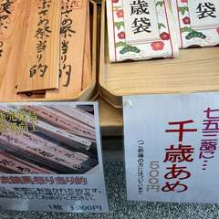 投稿日:2024年11月26日 写真