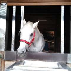 投稿日:2015年12月3日 写真