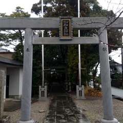 写真