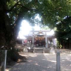 写真