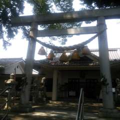 写真