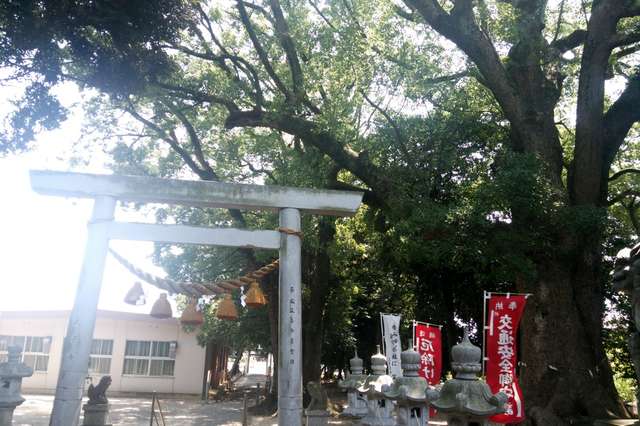 写真