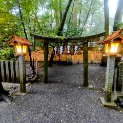 投稿日:2025年10月27日 写真