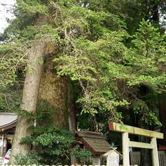 投稿日:2015年12月3日 写真